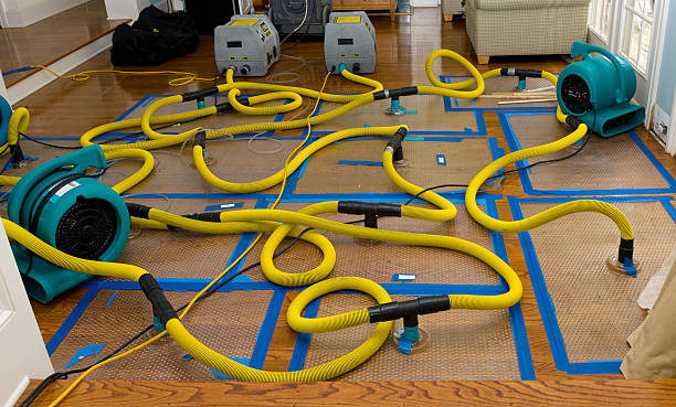 Professional Water Damage Repair technician working in Addison, TX